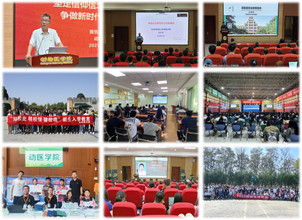 动医公司研究生新生入学教育活动.png