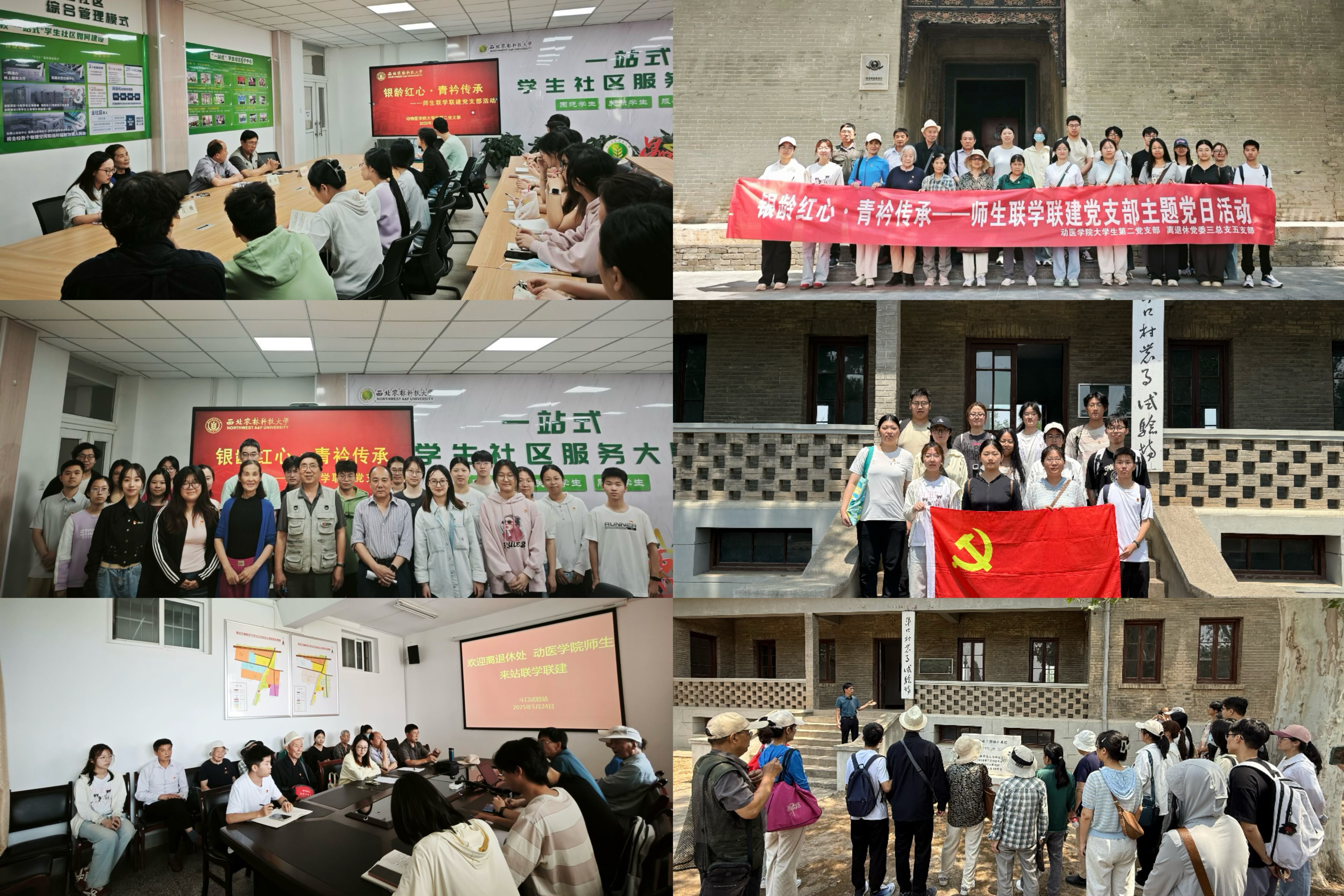 活动组图.png