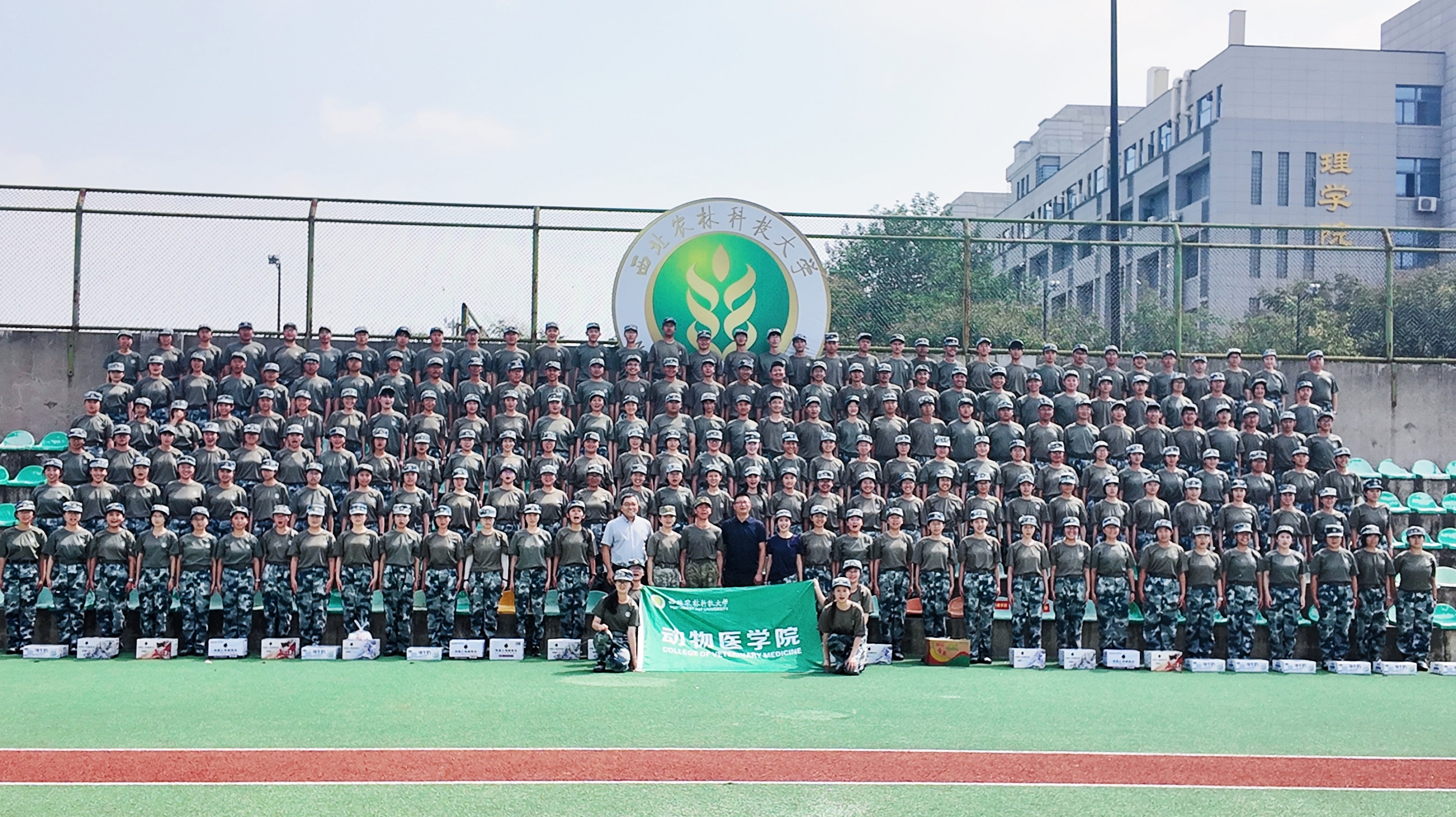 b70114cfc88d75e1d43ccb24acc0783.jpg