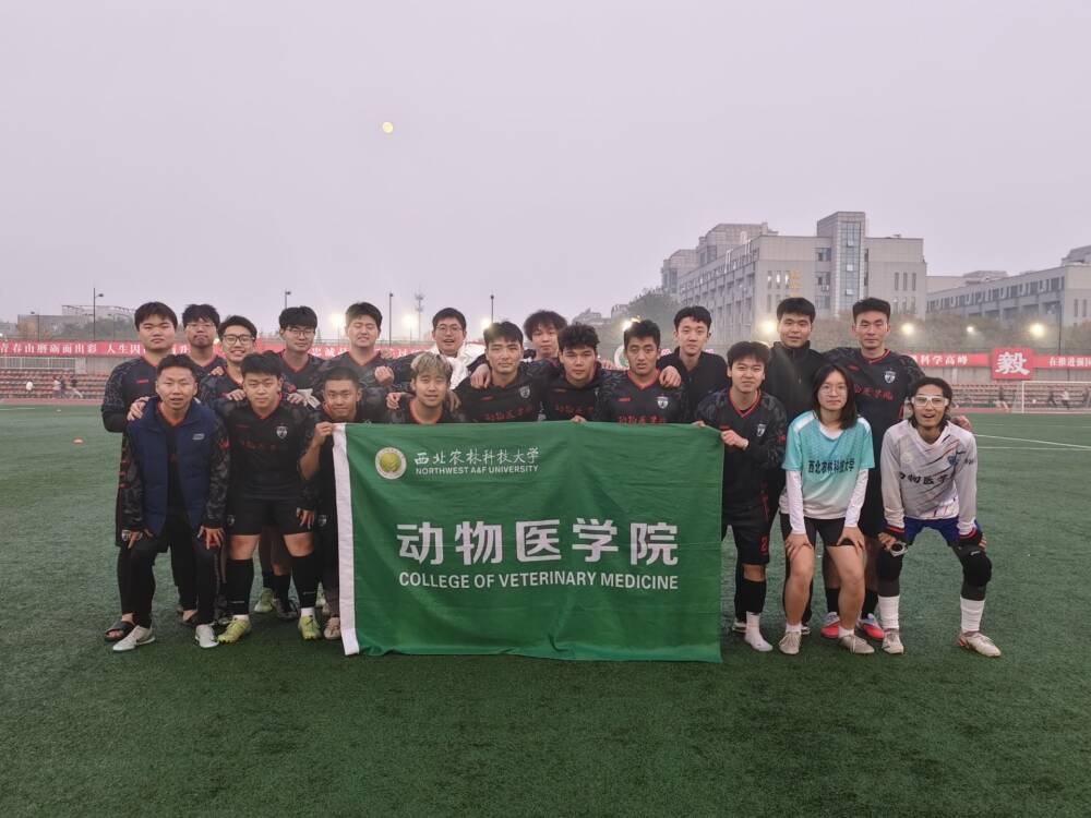 Image_1762329593209.jpg