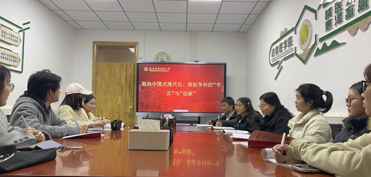 交流研讨.jpg