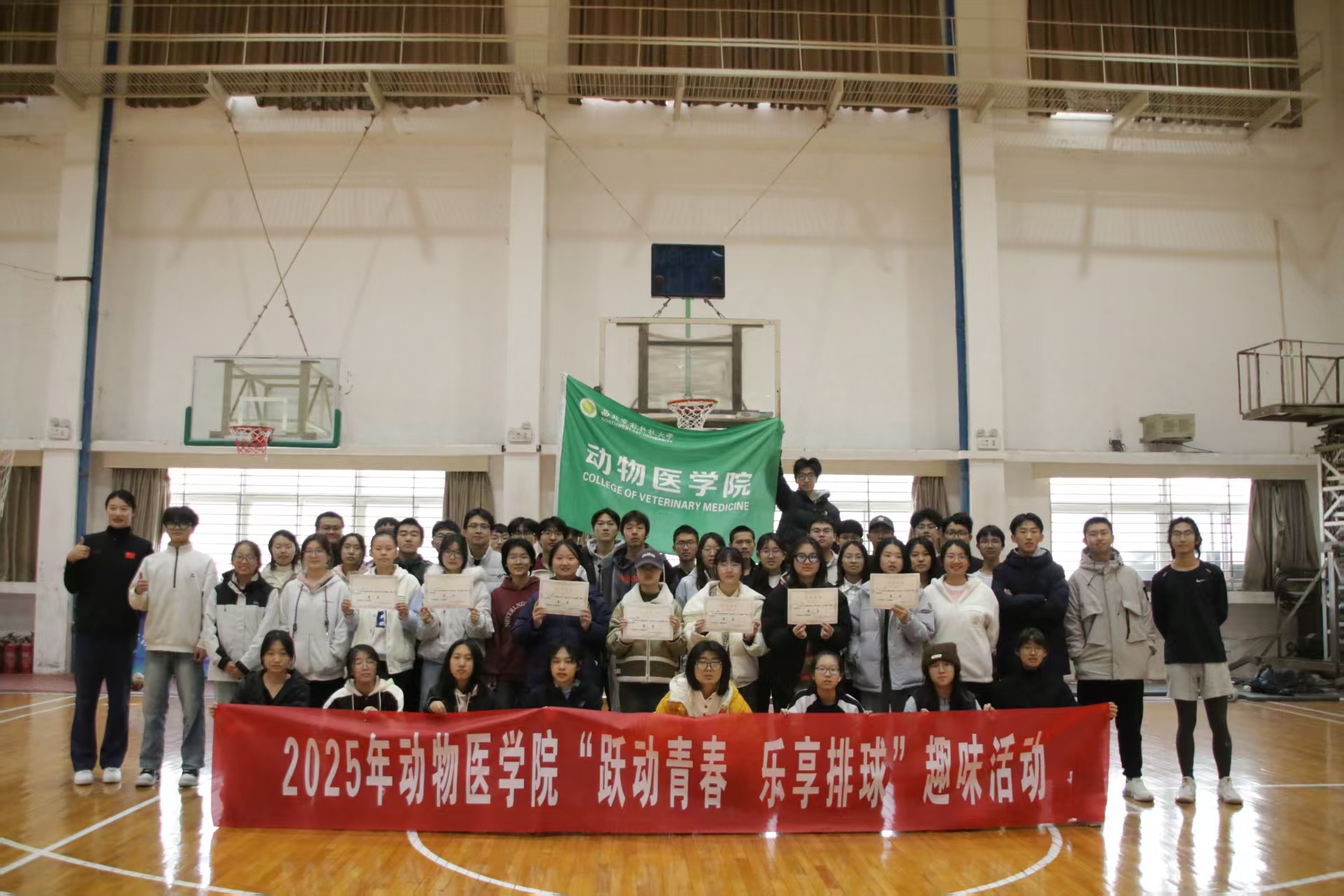 趣味排球赛1.jpg