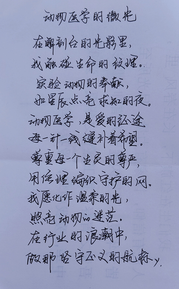 优秀手写作品1.png
