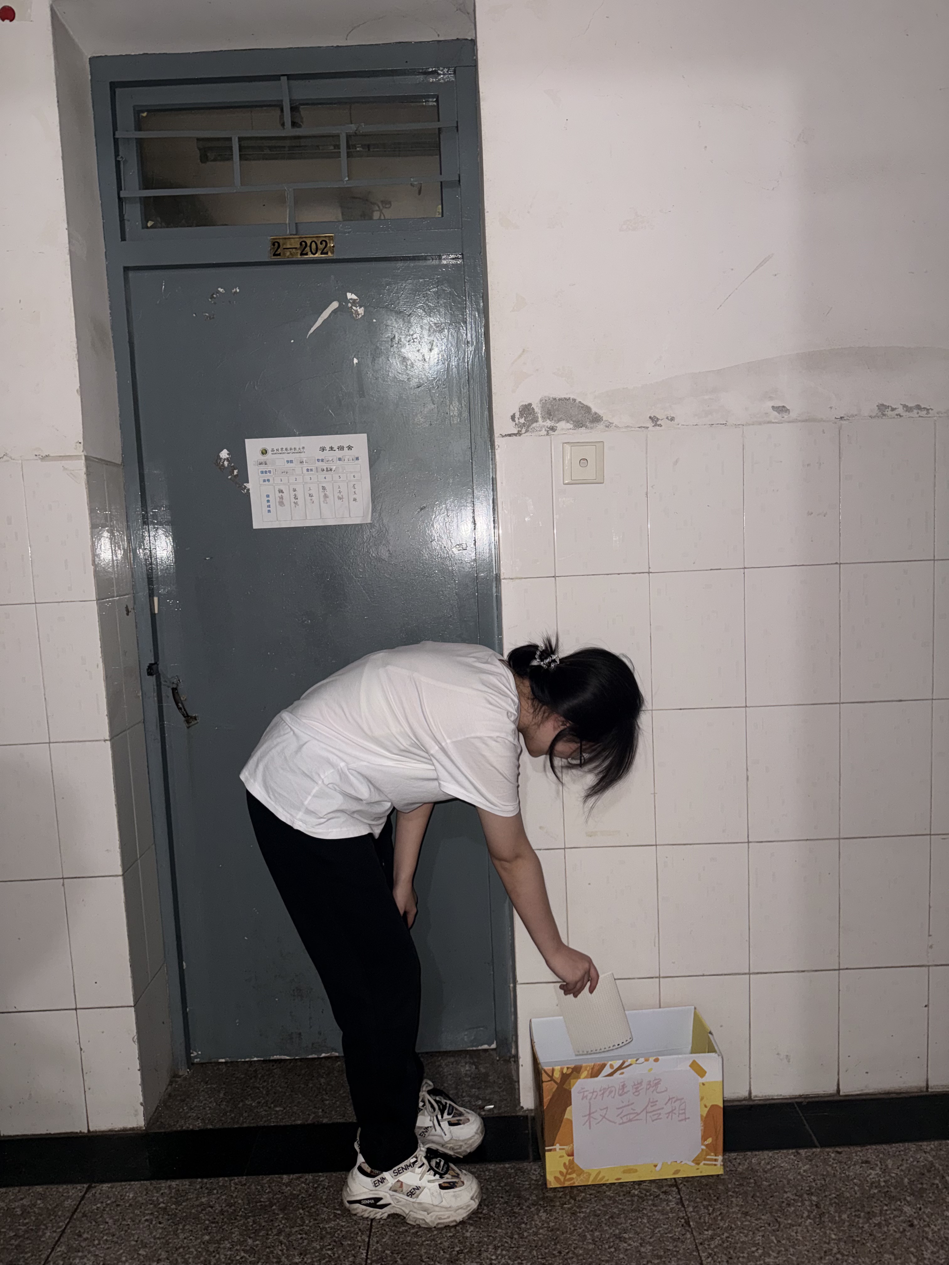 员工投递反馈信件.png