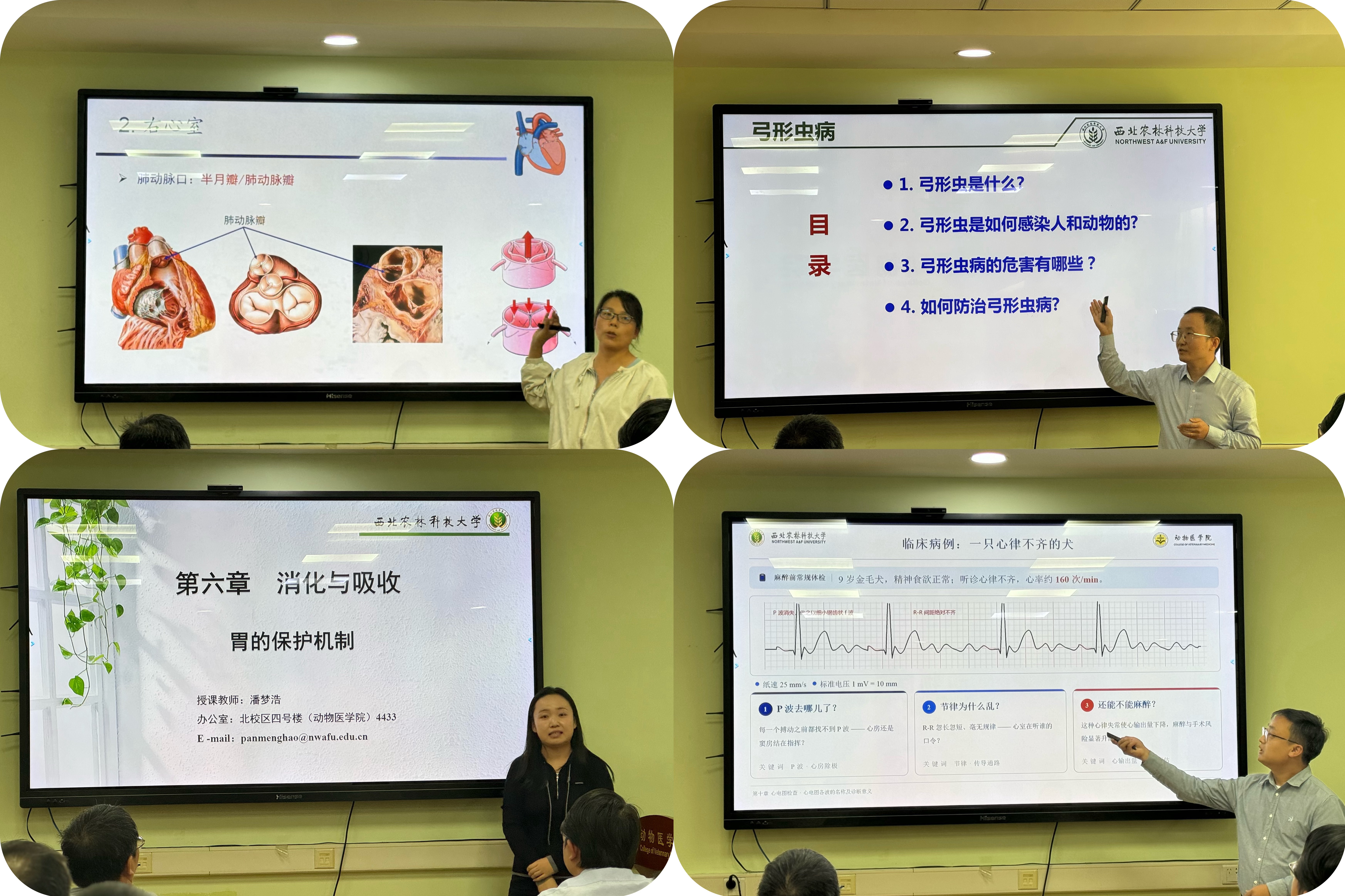 比赛老师.jpg
