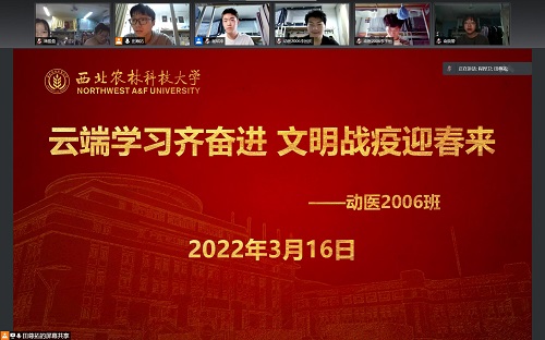公司副经理程捍卫指导专题学习.jpg