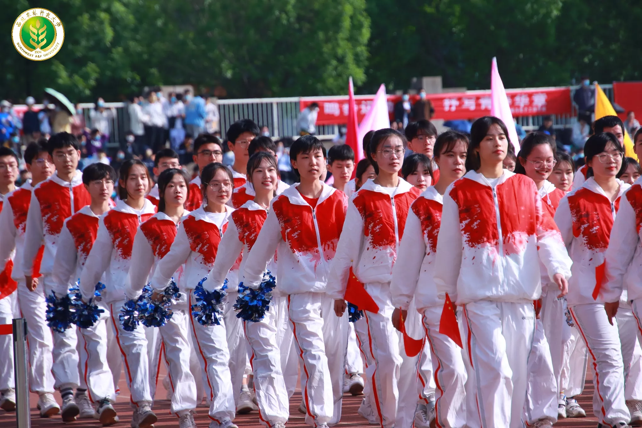 e49a096d28964ec6917bedc2b98b604c.png e49a096d28964ec6917bedc2b98b604c.png