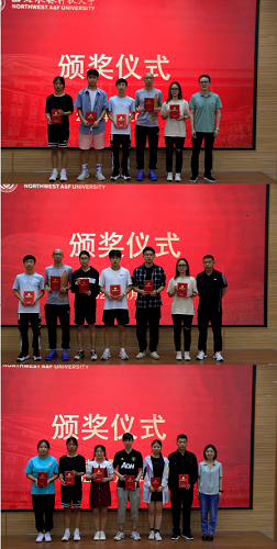 2de4b1ba2fc14f2c839208896dffb9a6.png 2de4b1ba2fc14f2c839208896dffb9a6.png