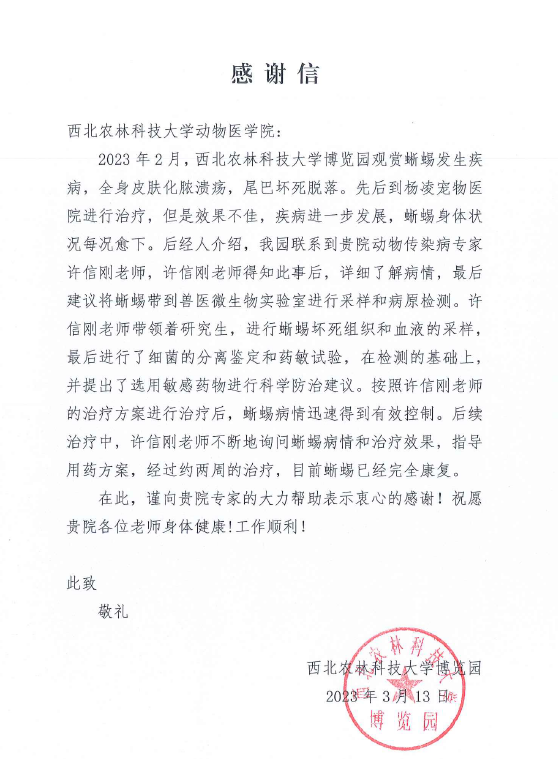 2e1b4158e787456bb08790a2a0e376b0.png 2e1b4158e787456bb08790a2a0e376b0.png