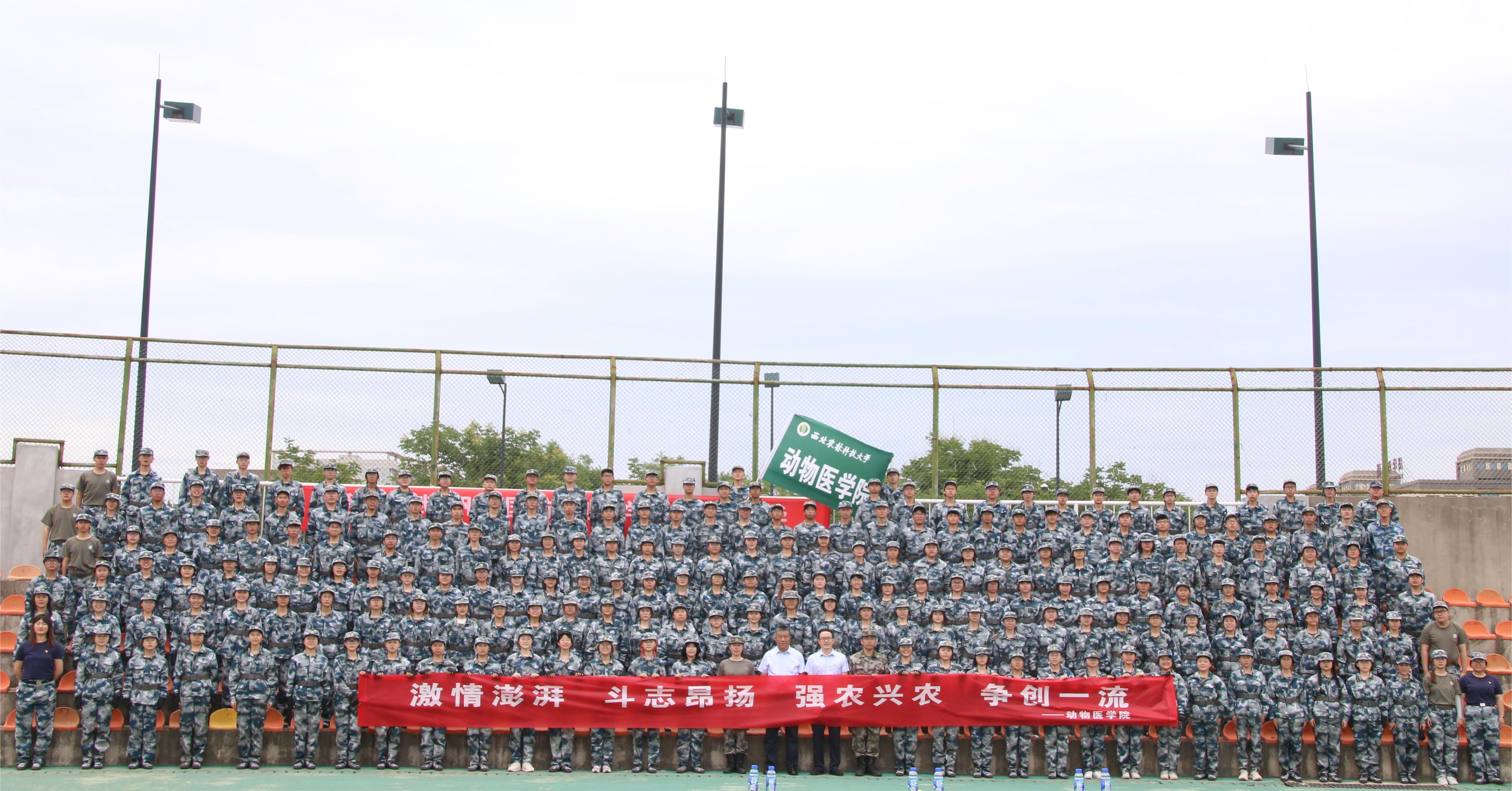 fca6b06fb017462e885b2750f76afb43.jpg fca6b06fb017462e885b2750f76afb43.jpg