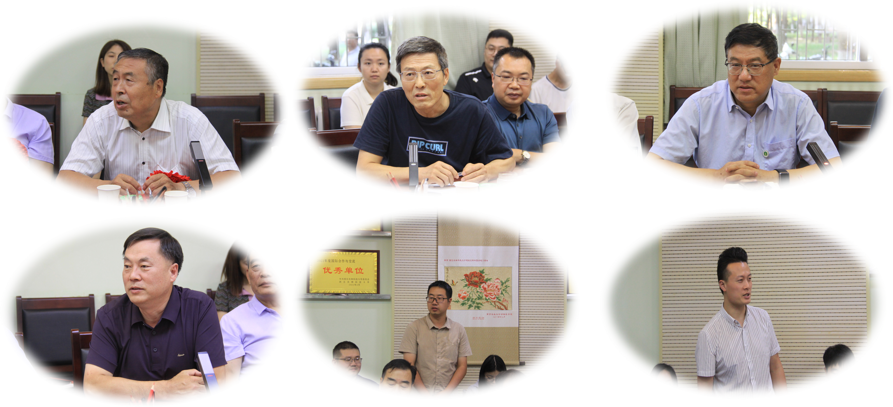 14450aff0ca2415fb67f7722c47766ea.png 14450aff0ca2415fb67f7722c47766ea.png