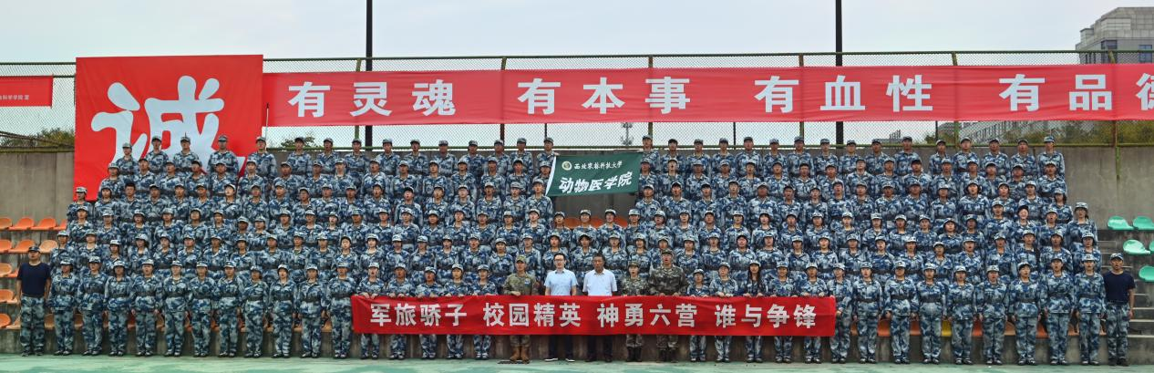 f9aec6baefd54397a2c6da6b8126de01.png 合影.png