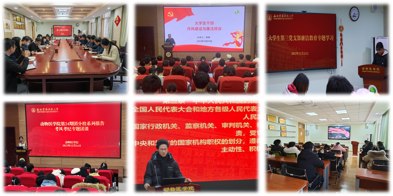 员工廉洁教育活动照片.png