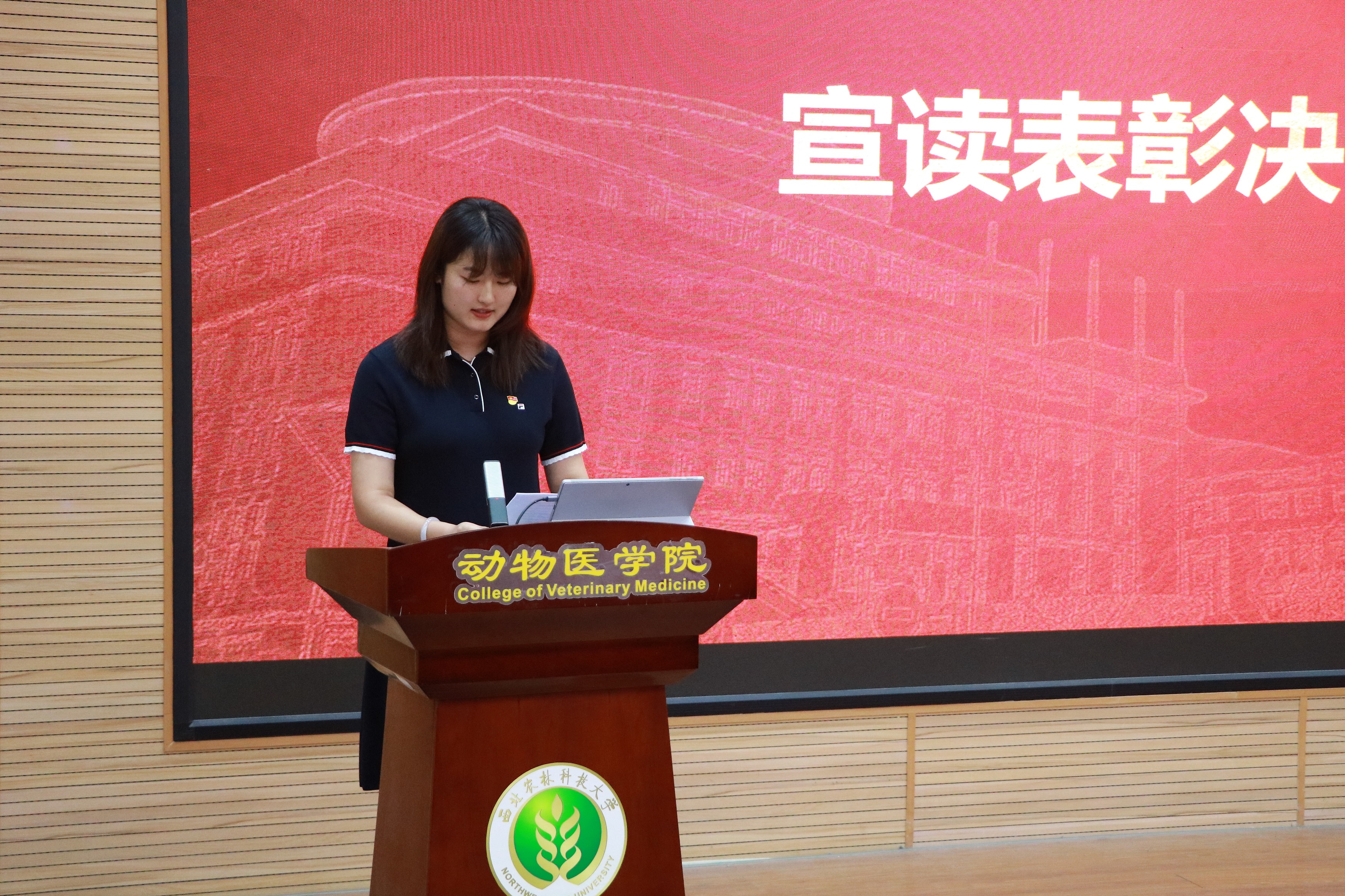 公司团委书记兼学工秘书赵真萍宣读表彰决定.JPG