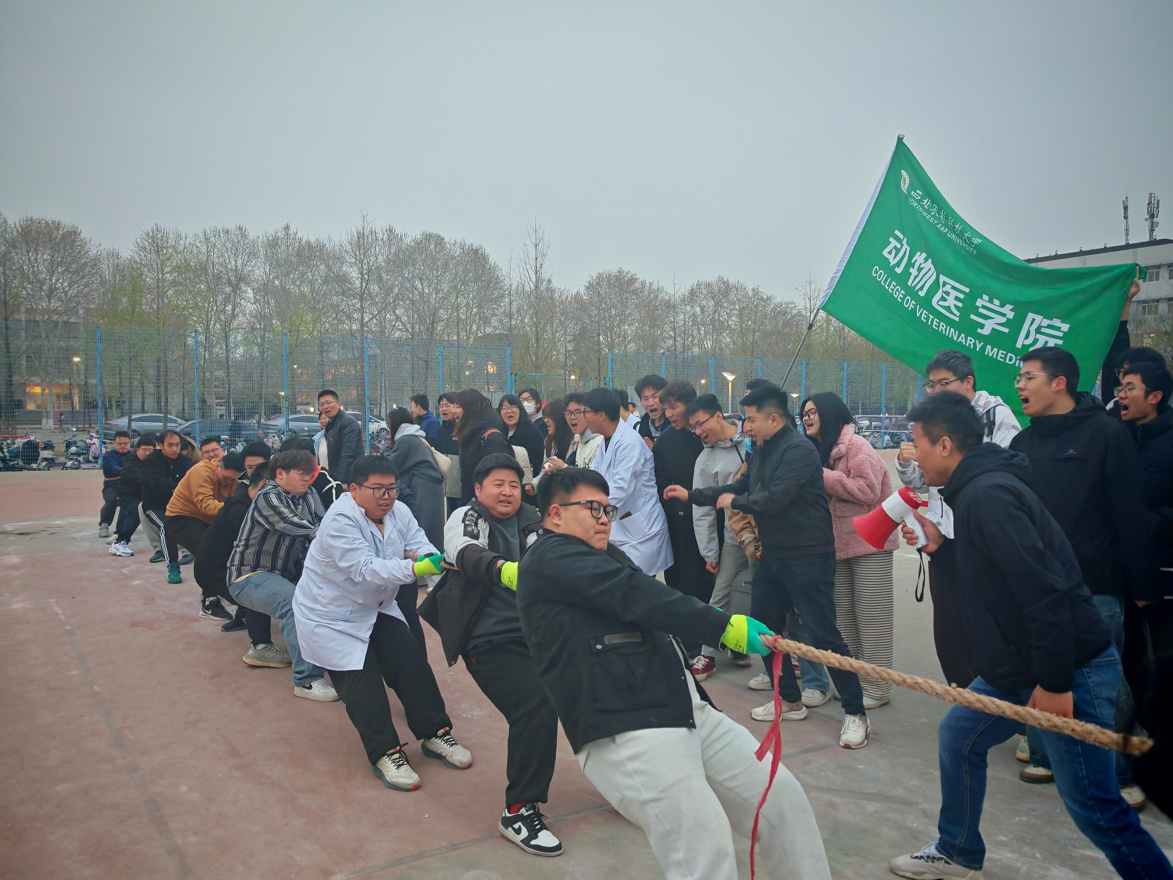 P6.jpg