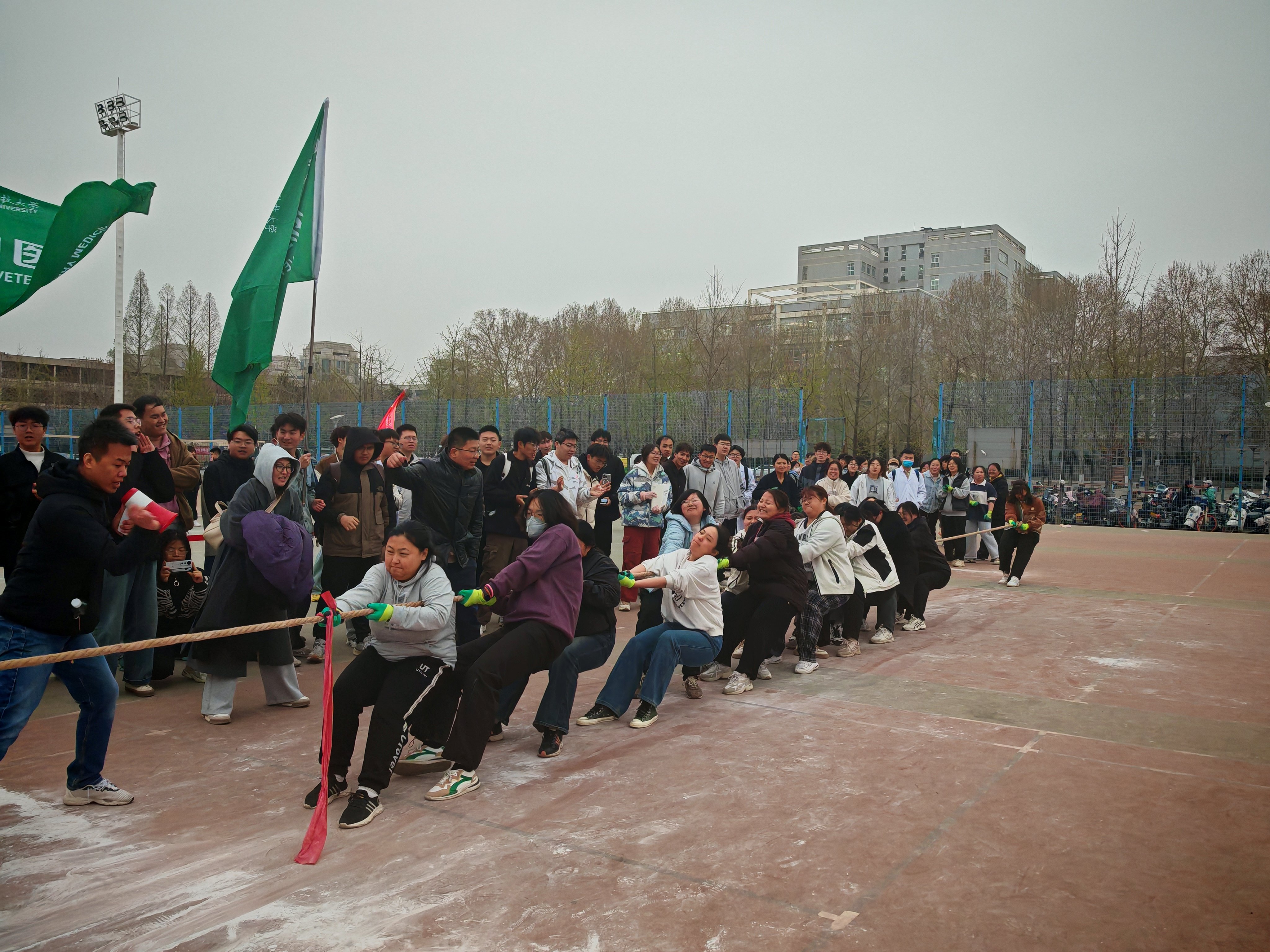 P8.jpg
