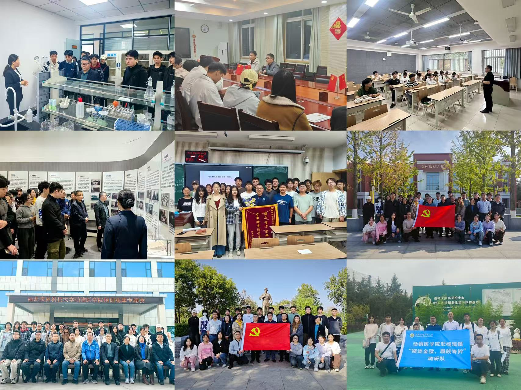 图片7.png